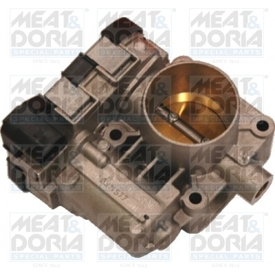 Throttle Body